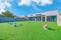 Taean Dog Day Pet Pool Villa