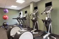 Hampton Inn Atlanta-Southlake - Gym