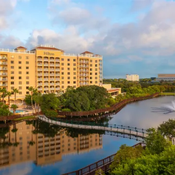 Hilton St. Petersburg Carillon Park Hotels near Enclave at St. Petersburg