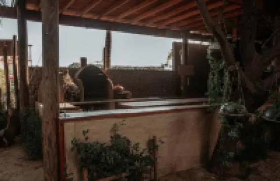 アグアマール ビチャイト のホテル