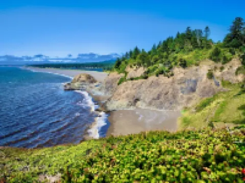 The Cove at Port Orford: King Salmon Suite Hotels in Port Orford