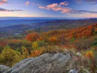 Cozy English Basement Apt quiet but close to downtown