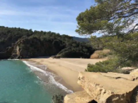 Appartement Proche de la Plage