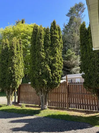 Private Beach Access - Secluded, wildlife setting Отели рядом с достопримечательностью «Нью Дангенесс Лайтхаус»
