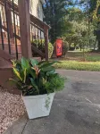 Spacious House for Groups-3 mi from CU! Across from Patrick Square!