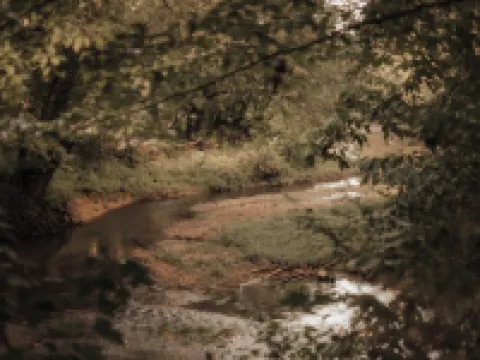 Modern Secluded Riverfront Cabin Hotels in Green County