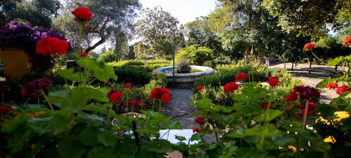 Villa Fontana with Private Pool and Ancient Botanical Park Hotels in Valderice