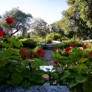 Villa Fontana with Private Pool and Ancient Botanical Park