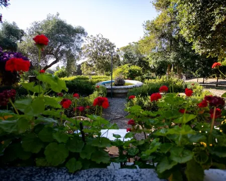Villa Fontana with Private Pool and Ancient Botanical Park Hotels in Valderice