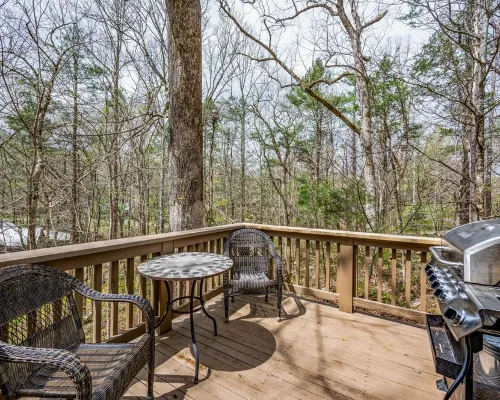 Your Own Private Cove!  Nestled Among Trees and Boulders Near National Park! Hotels in Townsend
