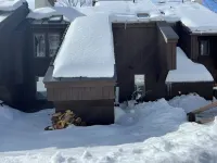 Cozy 3-bedroom condo located in Plymouth, VT .12 miles  to Okemo mountain- Các khách sạn ở 