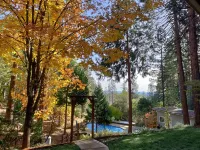Forest retreat w/ Pool, Game Room, EV charger. Pet friendly!