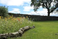 2 bedroom cottage, with far reaching views of the garden and open countryside. Hotels in Banff