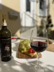 Historic vacation home on the Main, 110 sqm, large terrace, modern and renovated - Homestays