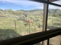Elk View Cabin