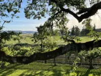 Alpaca Farm Retreat