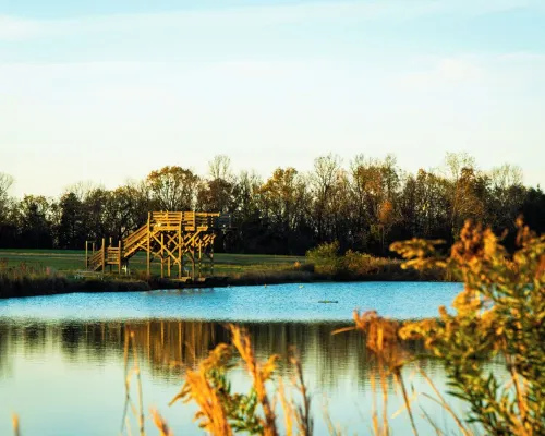 lakeside 3: Charming 2-bedroom cabin with AC and WiFi in peaceful Solgohachia Hotels in Conway County