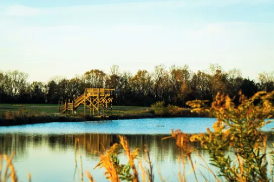 lakeside 3: Charming 2-bedroom cabin with AC and WiFi in peaceful Solgohachia