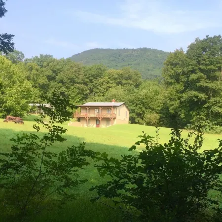 Adorable Cabin at Trout-Stocked Paddy Run Surrounded by GWNF and Hiking Trails