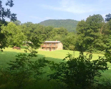 Adorable Cabin at Trout-Stocked Paddy Run Surrounded by GWNF and Hiking Trails Hotels in Frederick County