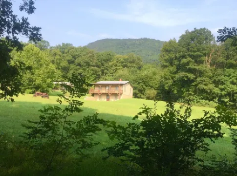 Adorable Cabin at Trout-Stocked Paddy Run Surrounded by GWNF and Hiking Trails