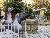 Appartement Classé Dans Périgueux Historique