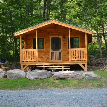 Maple Leaf Charming Log Cabin in the Woods Upgraded with Fiber Optic Internet