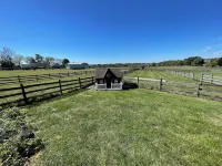 Rest & Reset at This Farmette Nestled in the Heart of Southern Chester County