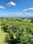 Stylish, Rural Apartment With Amazing Views