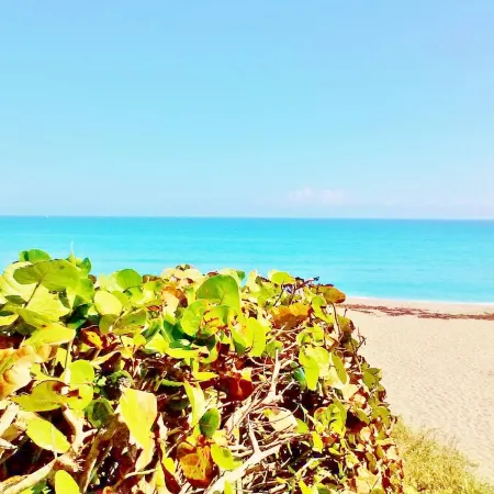 POSHPADZ Villa Del Sol Walk to Jupiter Beach
