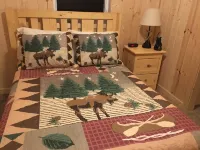 Cozy Up North cabin on beautiful Lake Waukenabo