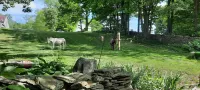 Foxglove Cottage - A Country Retreat Hotels in Susquehanna County
