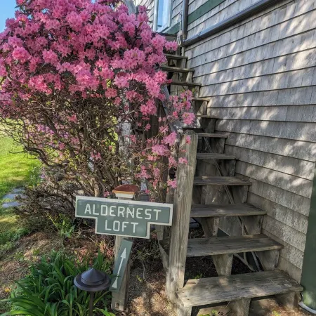 Aldernest Loft - Acadia Park/Mount Desert Island -walk across lawn down to shore