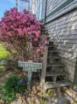 Aldernest Loft - Acadia Park/Mount Desert Island -walk across lawn down to shore