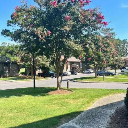 Beautiful 1 Bed Condo on Pinehurst Course No.5!