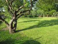 Small isolated cottage on a large meadow and orchard land Hotels in Putbus