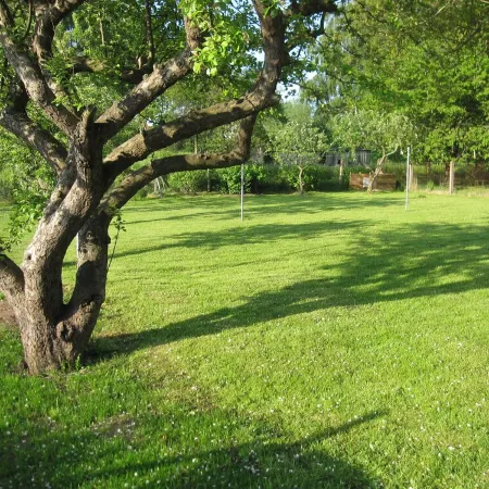 Small isolated cottage on a large meadow and orchard land