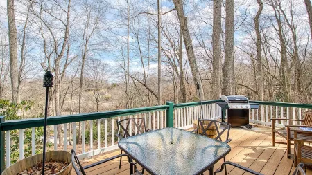 Starstorm Mountain ApartmentLakeview deck & hiking trail, near many activities. Отели в г. Лейк Джуналаска