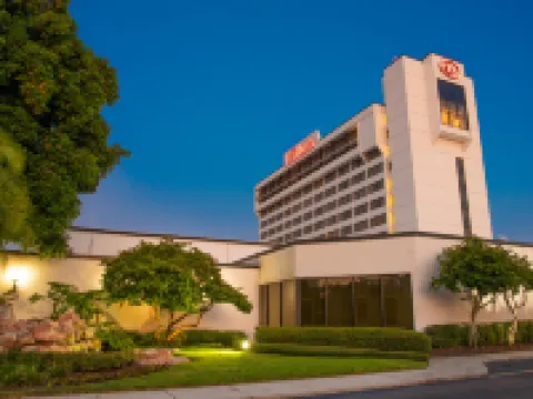 Hilton Tampa Airport Westshore Hotels near South Tampa