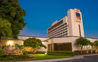 Hilton Tampa Airport Westshore Hotels in Tampa