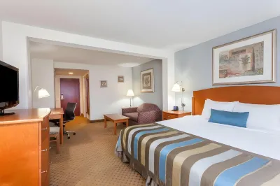 Spark by Hilton Winchester