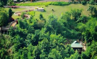 1. The View..