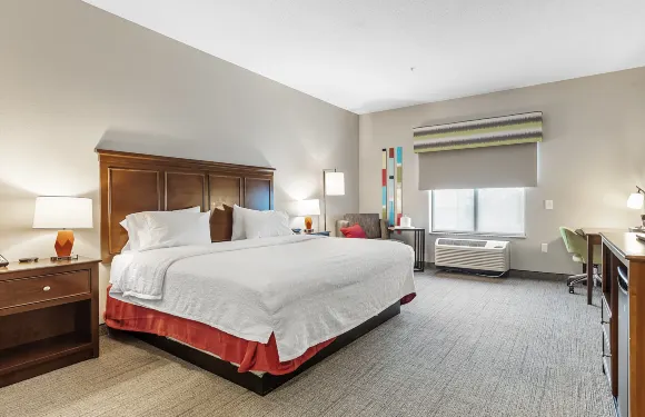 希爾頓歡朋酒店-阿塔穆爾