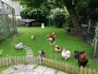 Apartment for 4 persons with a small lake view