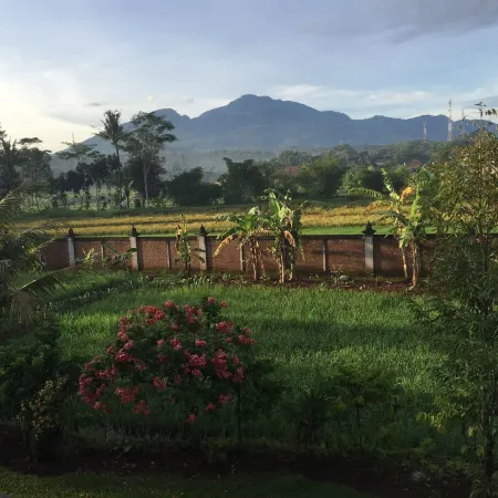 Joglo Java