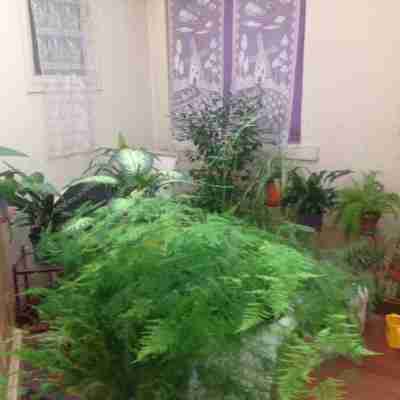 Hotel brasserie Lafayette Hotel Exterior