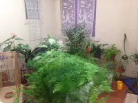 拉法葉飯店 Stade Montois Rugby附近的飯店