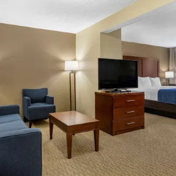 Comfort Inn Near Greenfield Village