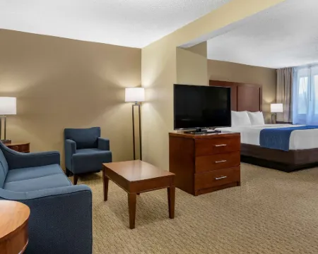 Comfort Inn Near Greenfield Village Hotels in Dearborn