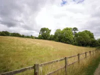 特林格蘭奇小屋 - 可住2人 - 現場停車 科勒姆酒店